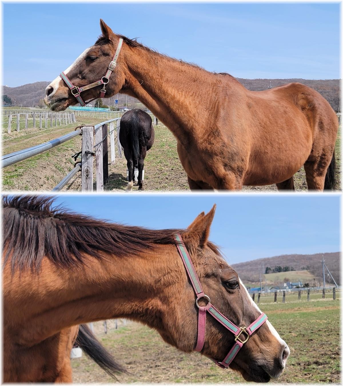 2512c80d19cef0640f6a91b52b6f54b4-1776211190.jpg 2512c80d19cef0640f6a91b52b6f54b4-1776211190.jpg